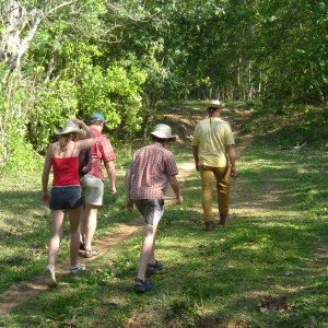 Walking on the wild side of Western Cuba-wild fruits and medicinal herbs