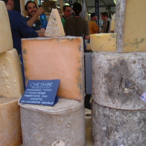Personally guided tours of Slow Food events Salone del Gusto and Cheese at Bra